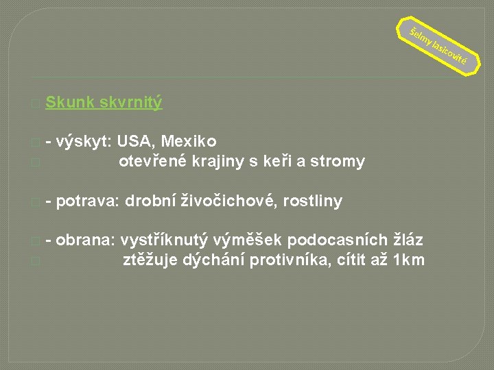 Šel � my la Skunk skvrnitý - výskyt: USA, Mexiko � otevřené krajiny s