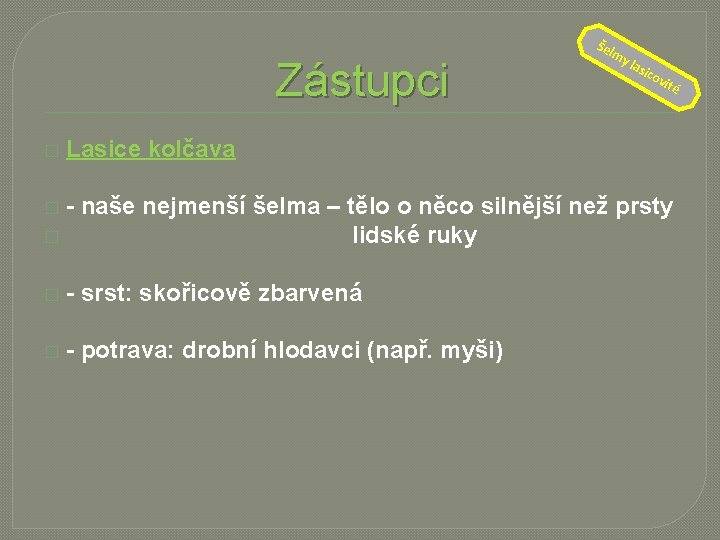 Zástupci � Šel my la sic o vit é Lasice kolčava - naše nejmenší