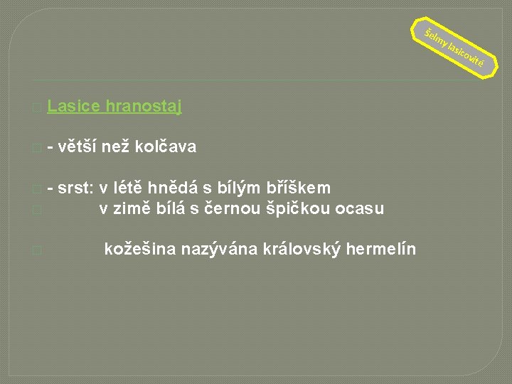 Šel � Lasice hranostaj � - větší než kolčava - srst: v létě hnědá