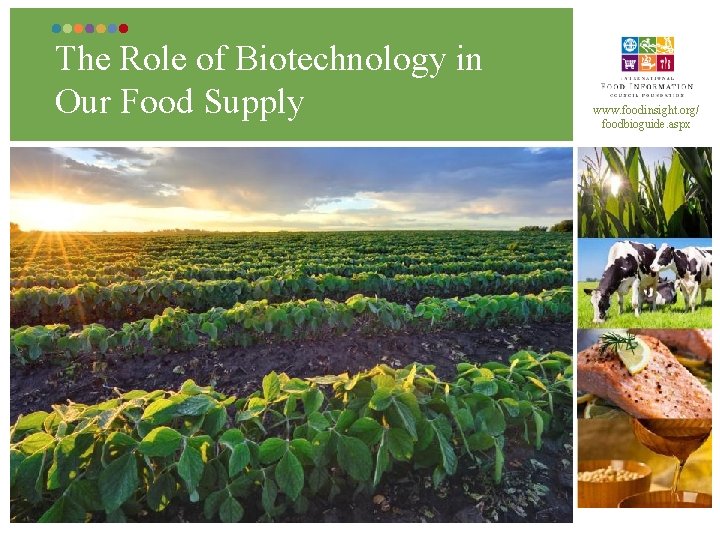 The Role of Biotechnology in Our Food Supply www. foodinsight. org/ foodbioguide. aspx 