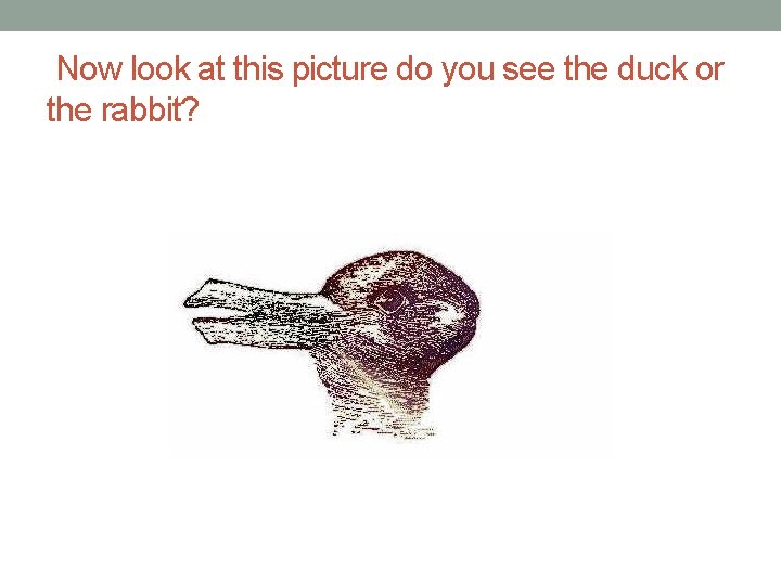 Now look at this picture do you see the duck or the rabbit? Now look at this picture do you see the duck or the rabbit?