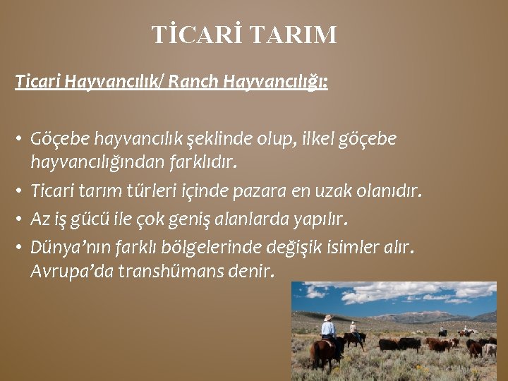 TİCARİ TARIM Ticari Hayvancılık/ Ranch Hayvancılığı: • Göçebe hayvancılık şeklinde olup, ilkel göçebe hayvancılığından