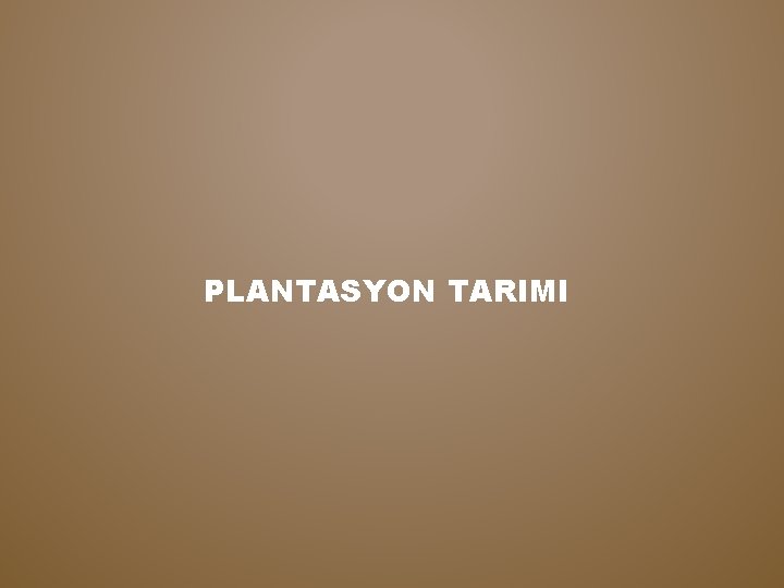 PLANTASYON TARIMI 