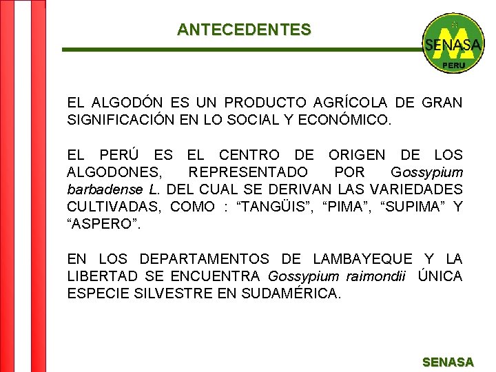 ANTECEDENTES EL ALGODÓN ES UN PRODUCTO AGRÍCOLA DE GRAN SIGNIFICACIÓN EN LO SOCIAL Y