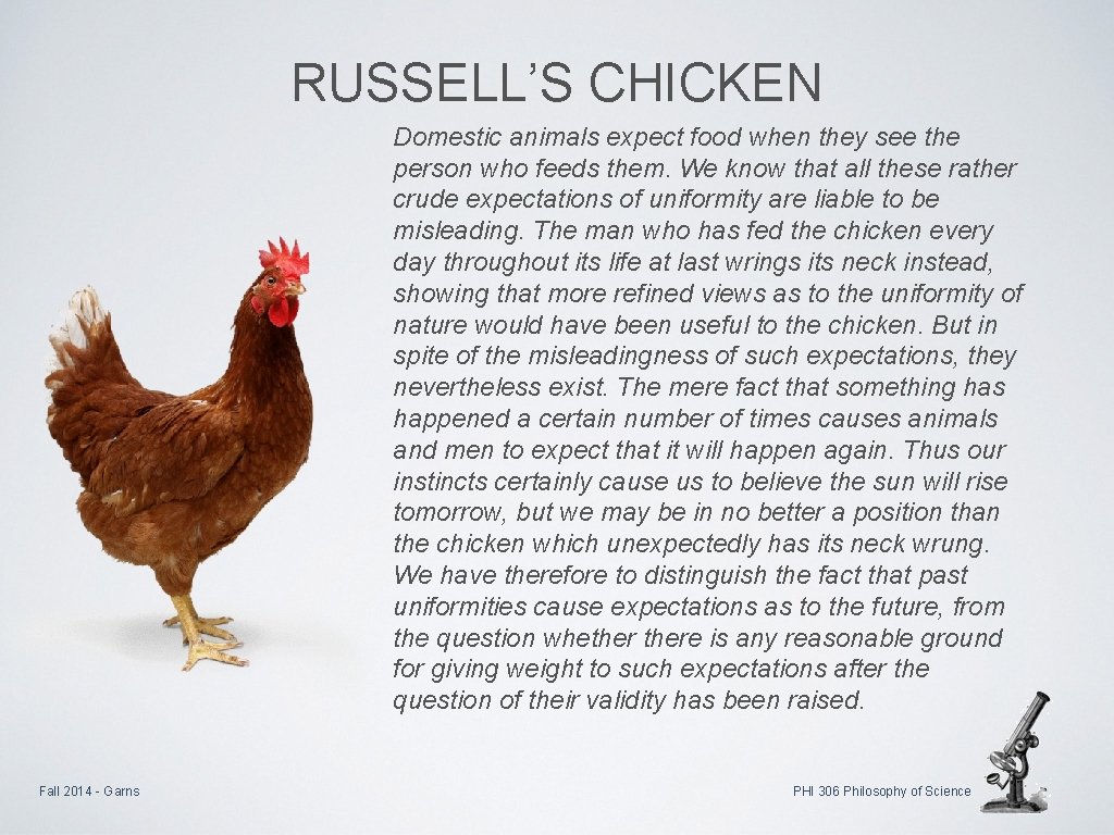 RUSSELL’S CHICKEN Domestic animals expect food when they see the person who feeds them.