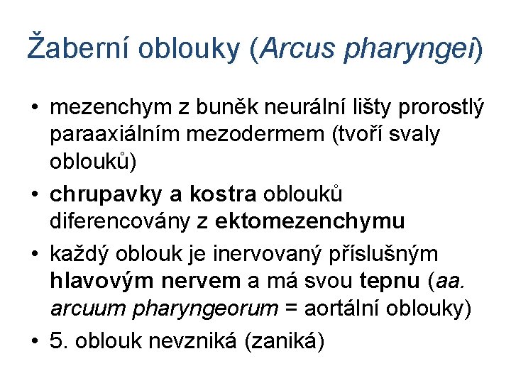 Žaberní oblouky (Arcus pharyngei) • mezenchym z buněk neurální lišty prorostlý paraaxiálním mezodermem (tvoří