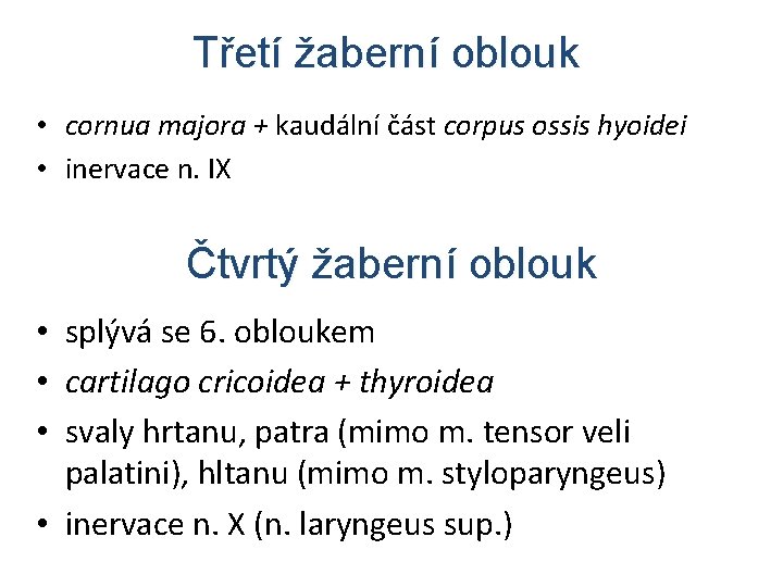 Třetí žaberní oblouk • cornua majora + kaudální část corpus ossis hyoidei • inervace