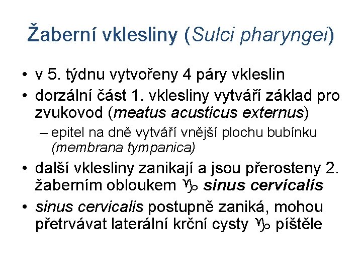 Žaberní vklesliny (Sulci pharyngei) • v 5. týdnu vytvořeny 4 páry vkleslin • dorzální