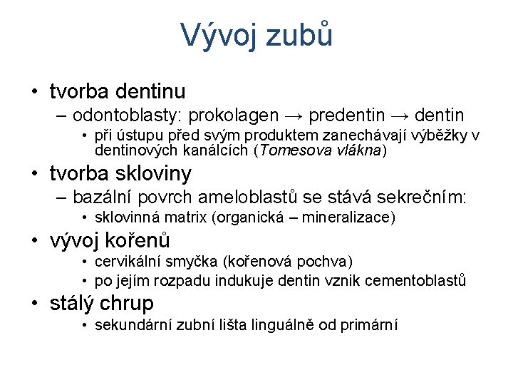 Vývoj zubů • tvorba dentinu – odontoblasty: prokolagen → predentin → dentin • při