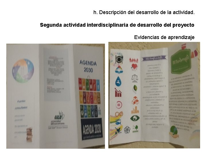 h. Descripción del desarrollo de la actividad. Segunda actividad interdisciplinaria de desarrollo del proyecto