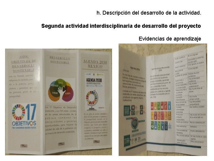 h. Descripción del desarrollo de la actividad. Segunda actividad interdisciplinaria de desarrollo del proyecto