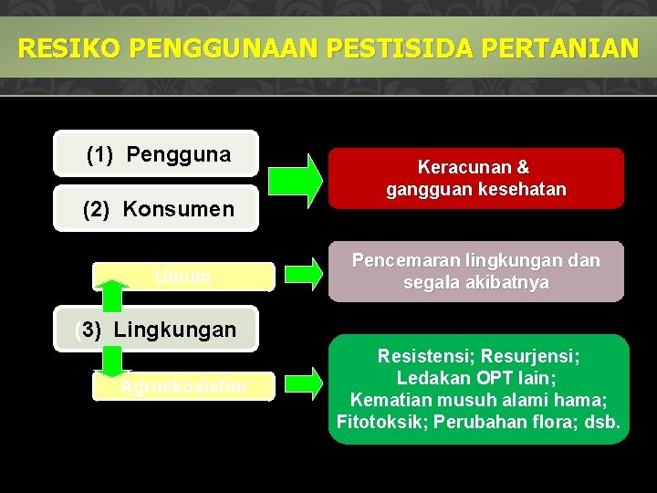 RESIKO PENGGUNAAN PESTISIDA PERTANIAN (1) Pengguna (2) Konsumen Umum Keracunan & gangguan kesehatan Pencemaran