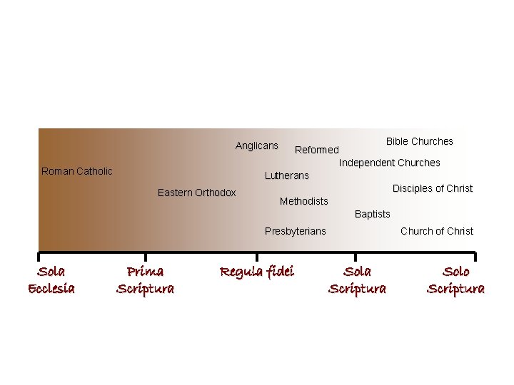 Bible Churches Reformed Independent Churches Lutherans Disciples of Christ Methodists Baptists Anglicans Roman Catholic