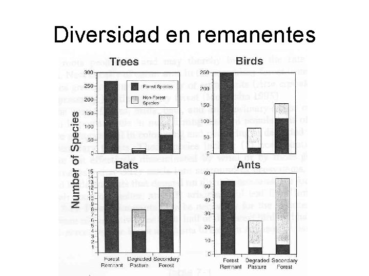 Diversidad en remanentes 