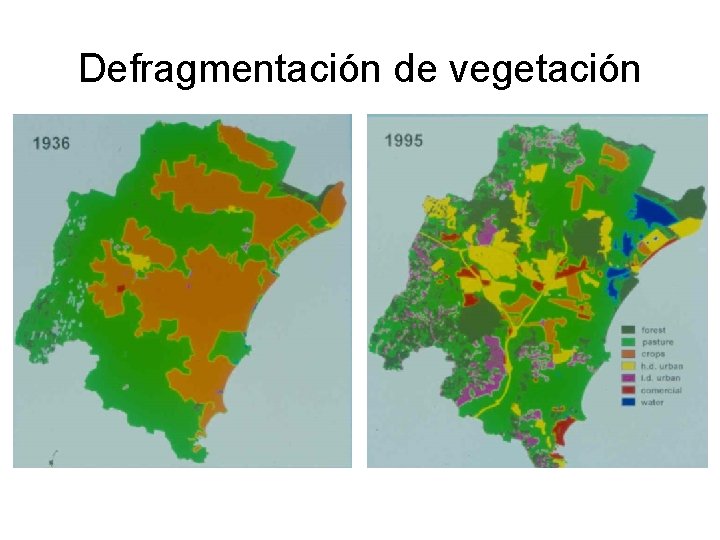 Defragmentación de vegetación 