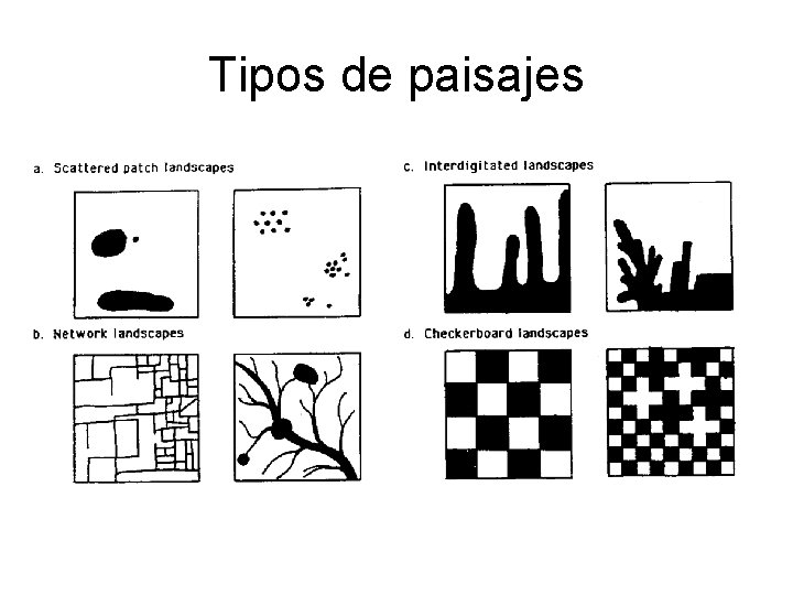 Tipos de paisajes 