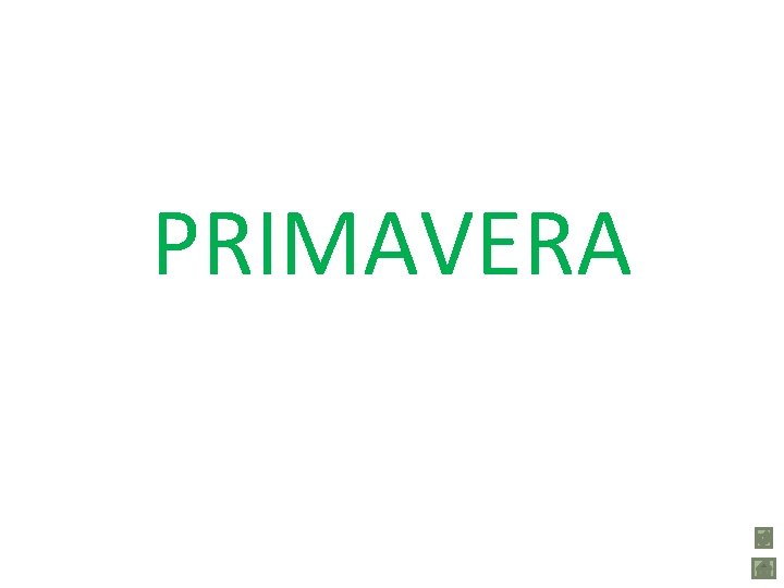 PRIMAVERA 