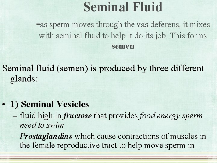 Seminal Fluid -as sperm moves through the vas deferens, it mixes with seminal fluid