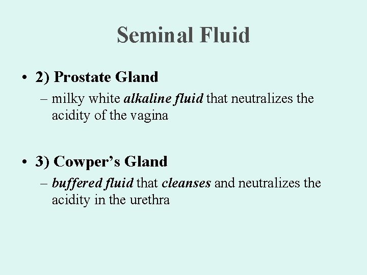 Seminal Fluid • 2) Prostate Gland – milky white alkaline fluid that neutralizes the