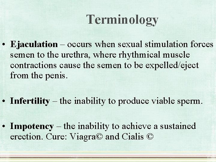 Terminology • Ejaculation – occurs when sexual stimulation forces semen to the urethra, where