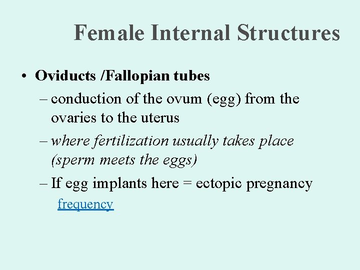 Female Internal Structures • Oviducts /Fallopian tubes – conduction of the ovum (egg) from