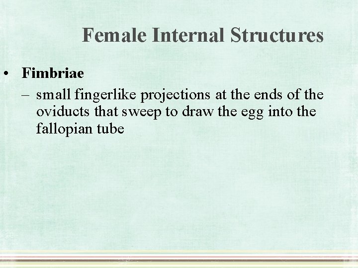 Female Internal Structures • Fimbriae – small fingerlike projections at the ends of the