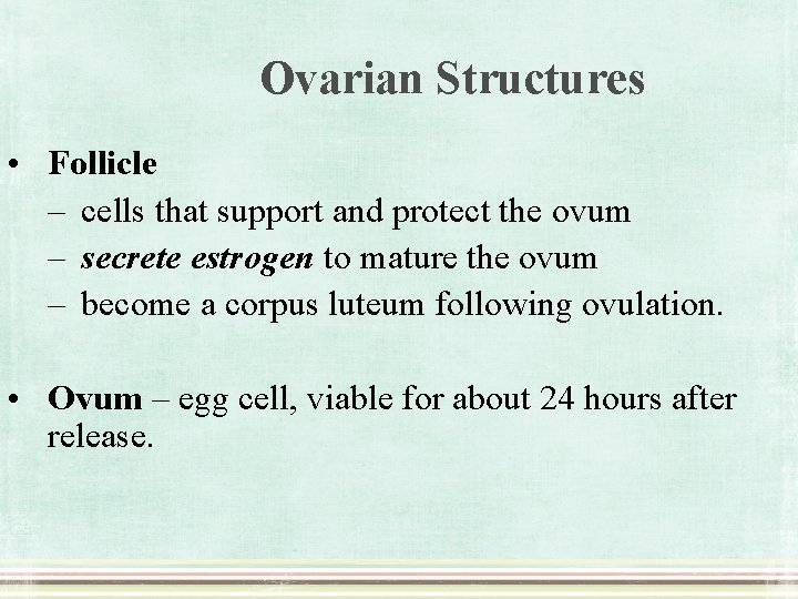 Ovarian Structures • Follicle – cells that support and protect the ovum – secrete