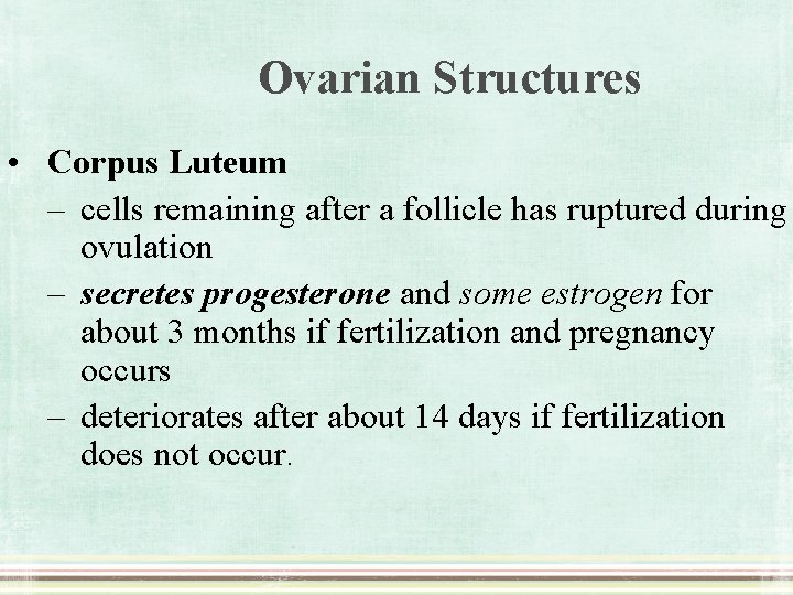 Ovarian Structures • Corpus Luteum – cells remaining after a follicle has ruptured during