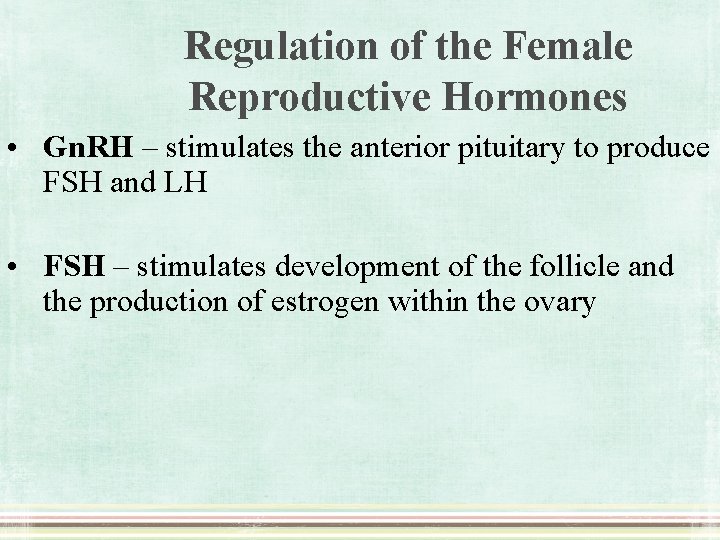 Regulation of the Female Reproductive Hormones • Gn. RH – stimulates the anterior pituitary