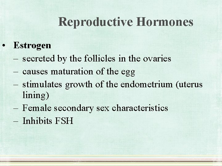 Reproductive Hormones • Estrogen – secreted by the follicles in the ovaries – causes
