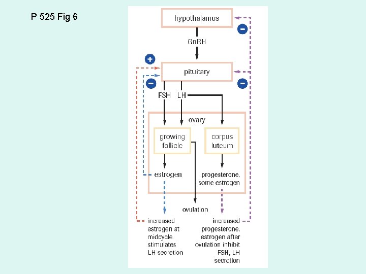 P 525 Fig 6 