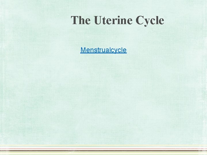 The Uterine Cycle Menstrualcycle 