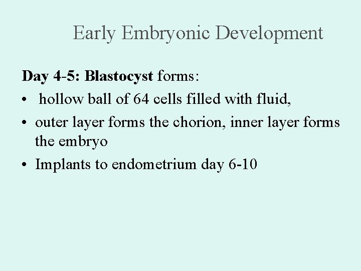 Early Embryonic Development Day 4 -5: Blastocyst forms: • hollow ball of 64 cells