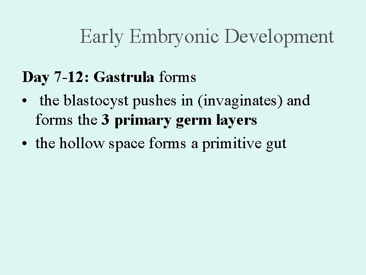 Early Embryonic Development Day 7 -12: Gastrula forms • the blastocyst pushes in (invaginates)