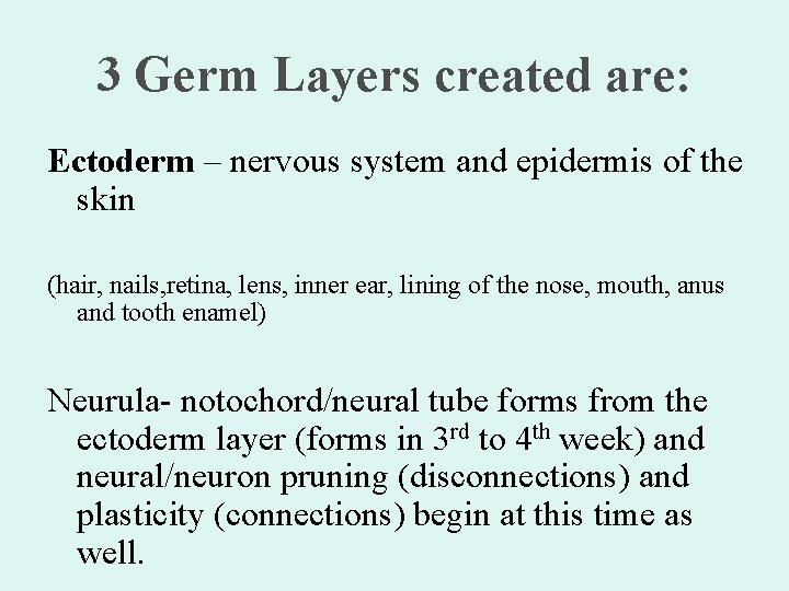 3 Germ Layers created are: Ectoderm – nervous system and epidermis of the skin