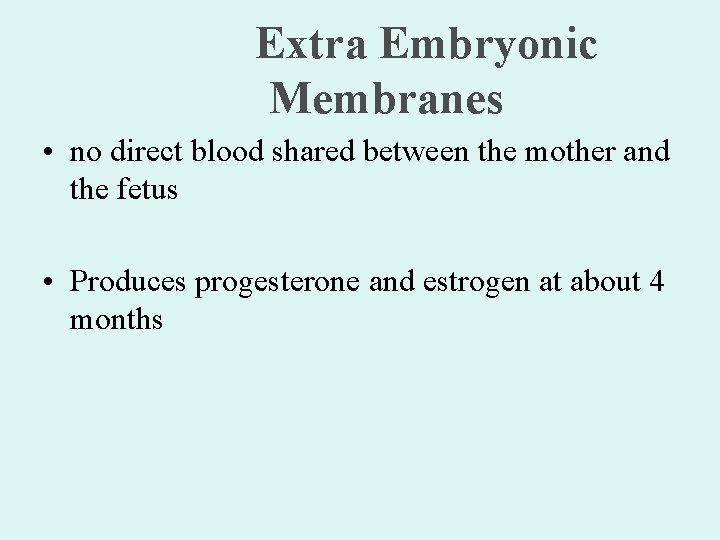 Extra Embryonic Membranes • no direct blood shared between the mother and the fetus