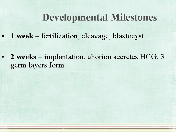 Developmental Milestones • 1 week – fertilization, cleavage, blastocyst • 2 weeks – implantation,