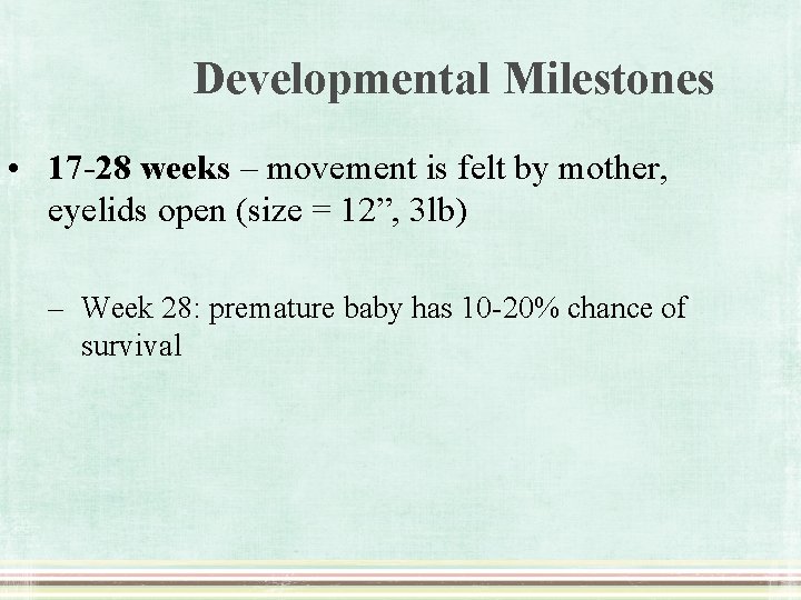 Developmental Milestones • 17 -28 weeks – movement is felt by mother, eyelids open