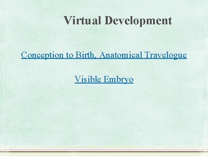 Virtual Development Conception to Birth, Anatomical Travelogue Visible Embryo 