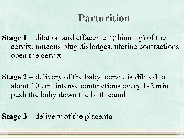 Parturition Stage 1 – dilation and effacement(thinning) of the cervix, mucous plug dislodges, uterine