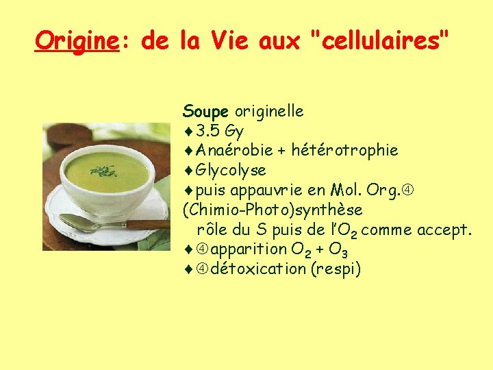 Origine: de la Vie aux "cellulaires" Soupe originelle ¨ 3. 5 Gy ¨Anaérobie +