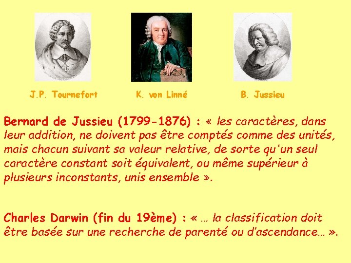 J. P. Tournefort K. von Linné B. Jussieu Bernard de Jussieu (1799 -1876) :