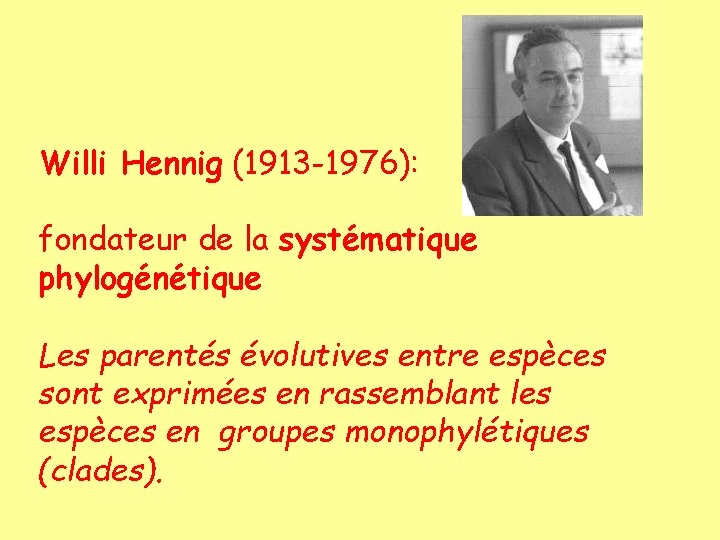 Willi Hennig (1913 -1976): fondateur de la systématique phylogénétique Les parentés évolutives entre espèces