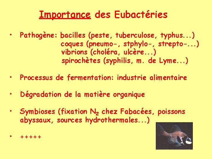 Importance des Eubactéries • Pathogène: bacilles (peste, tuberculose, typhus. . . ) coques (pneumo-,