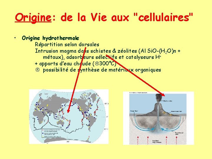 Origine: de la Vie aux "cellulaires" • Origine hydrothermale Répartition selon dorsales Intrusion magma