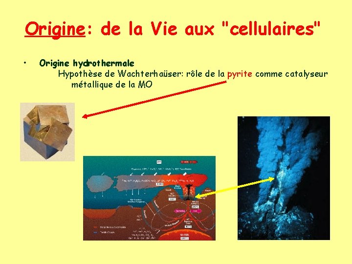 Origine: de la Vie aux "cellulaires" • Origine hydrothermale Hypothèse de Wachterhaüser: rôle de