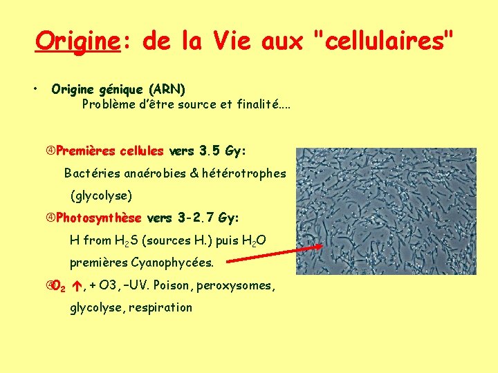 Origine: de la Vie aux "cellulaires" • Origine génique (ARN) Problème d’être source et