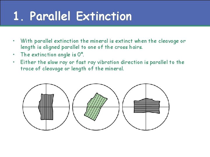 1. Parallel Extinction • • • With parallel extinction the mineral is extinct when