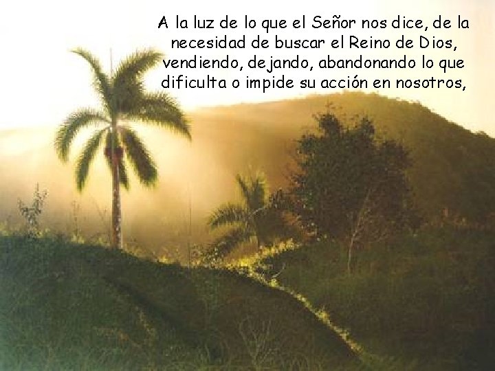A la luz de lo que el Señor nos dice, de la necesidad de