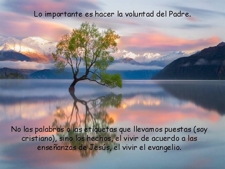 Lo importante es hacer la voluntad del Padre. No las palabras o las etiquetas
